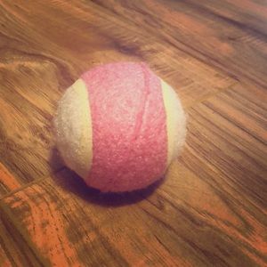 Tennis ball dog toy
